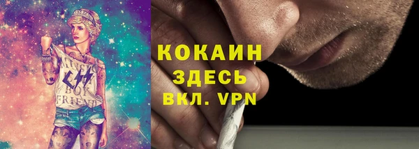 дмт Новозыбков