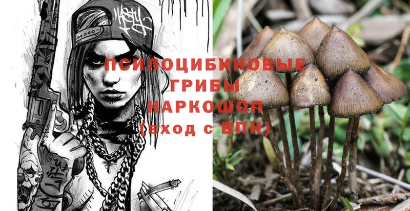 Галлюциногенные грибы Psilocybine cubensis  наркота  Лосино-Петровский 