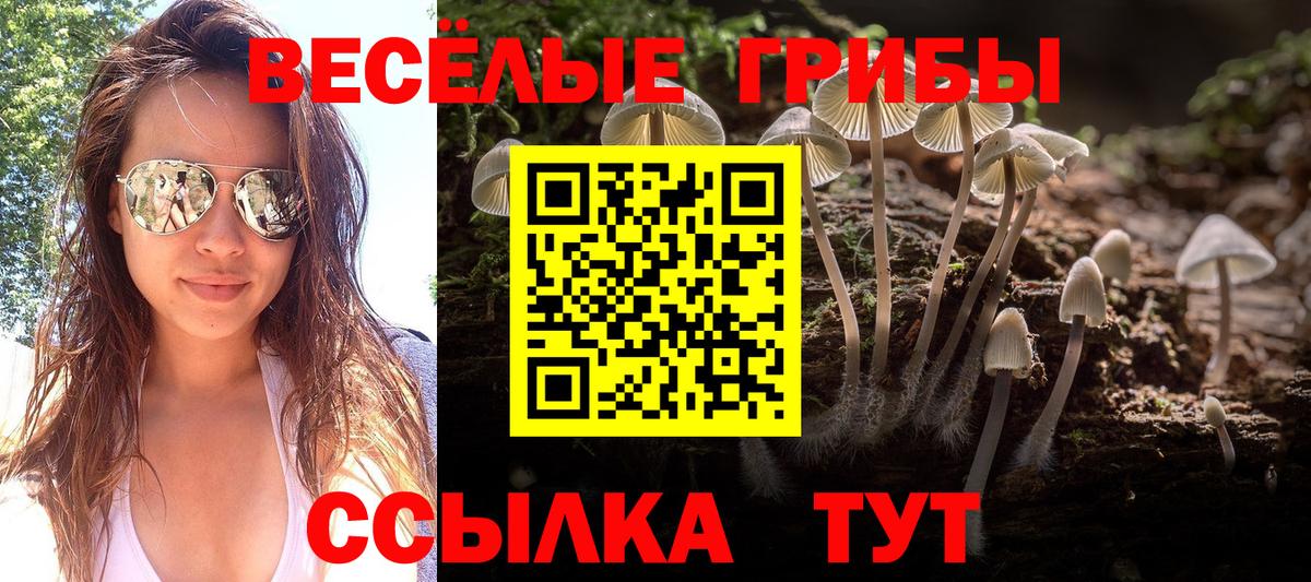 наркота  Галлюциногенные грибы Psilocybe  Псилоцибиновые грибы мицелий  Вход с VPN  Лосино-Петровский 