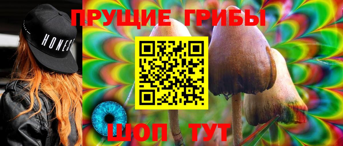 Галлюциногенные грибы Psilocybe Лосино-Петровский